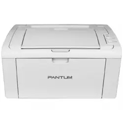 Pantum P2509W